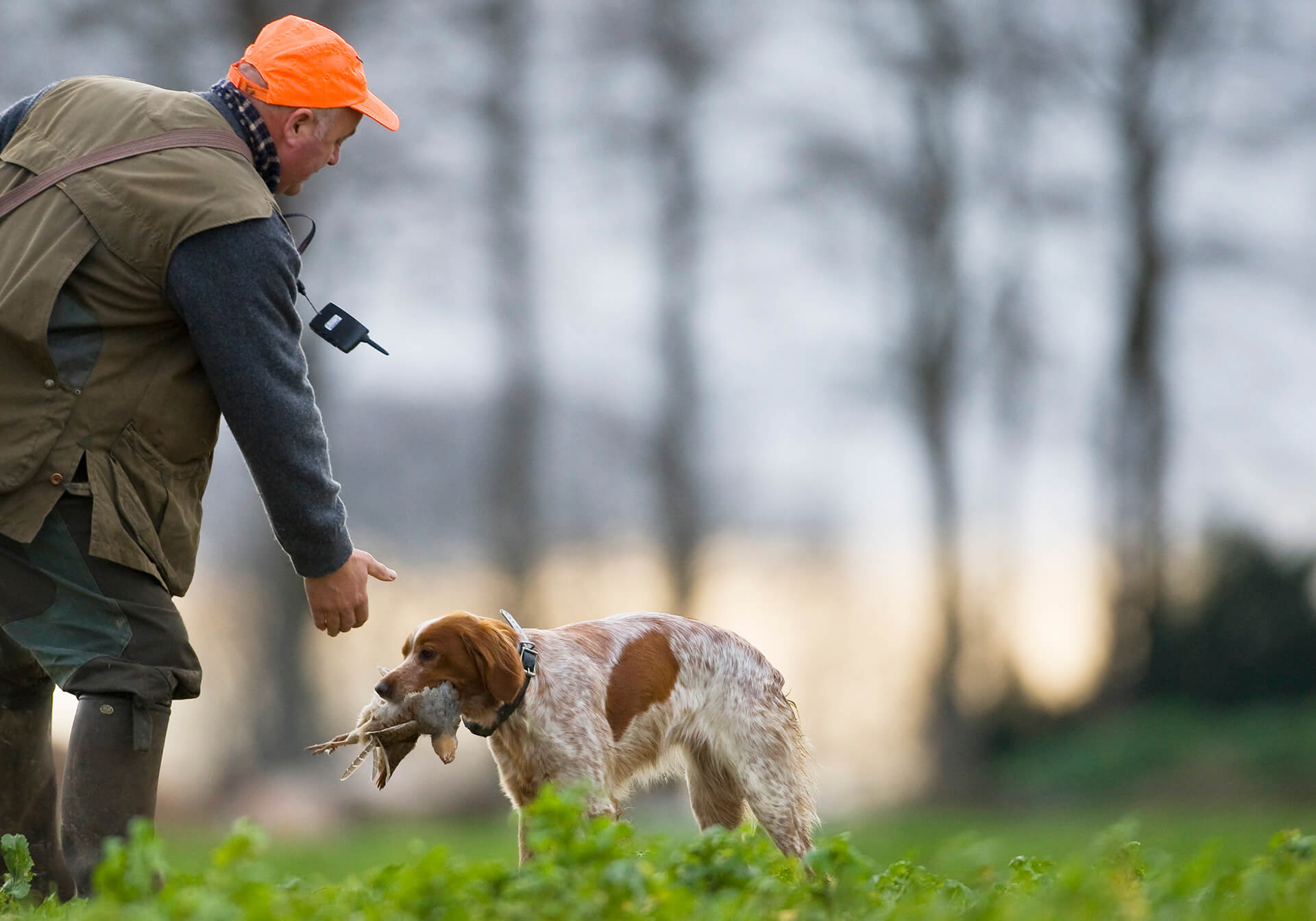 La fédération nationale des chasseurs