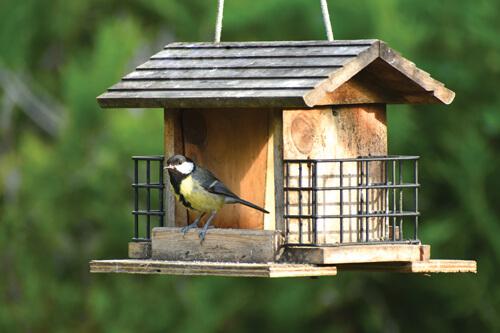 Un radar ornithologique acquis par la FRC Hauts-de-France