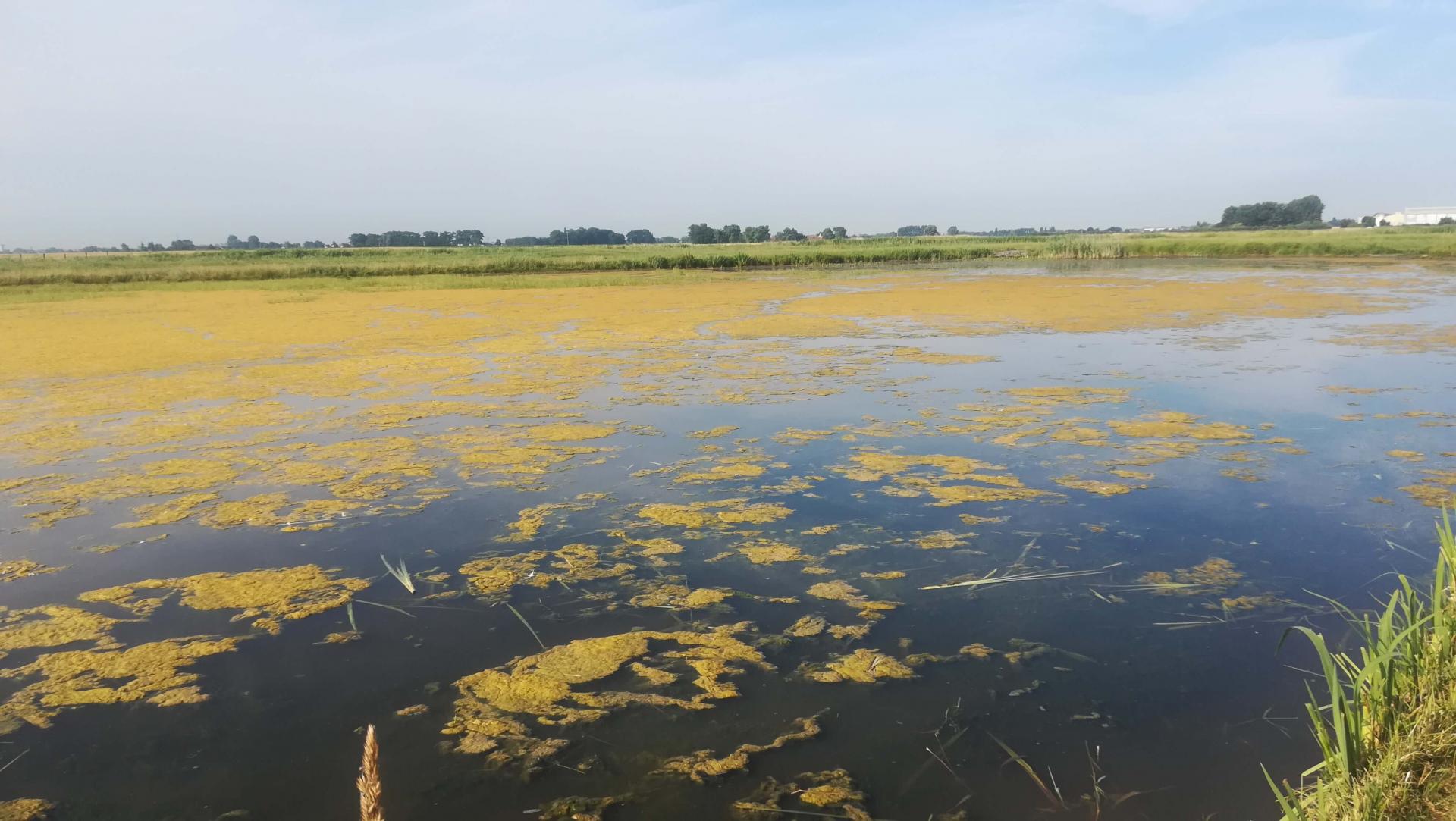 Un radar ornithologique acquis par la FRC Hauts-de-France